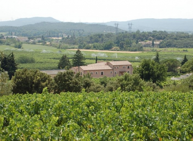  The vineyards and orchards 